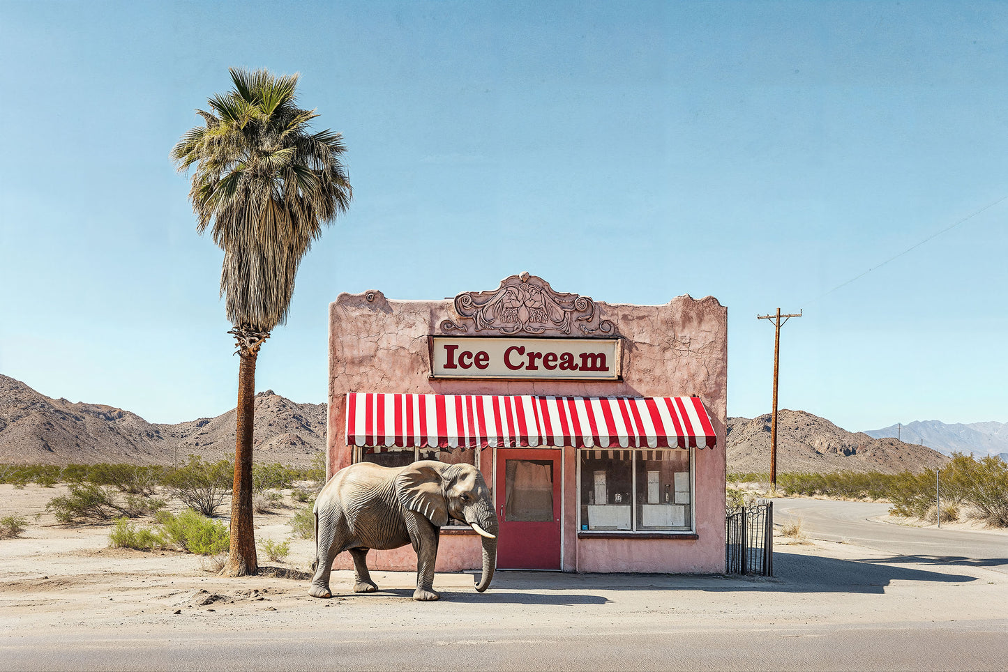 Ice Cream For Lunch